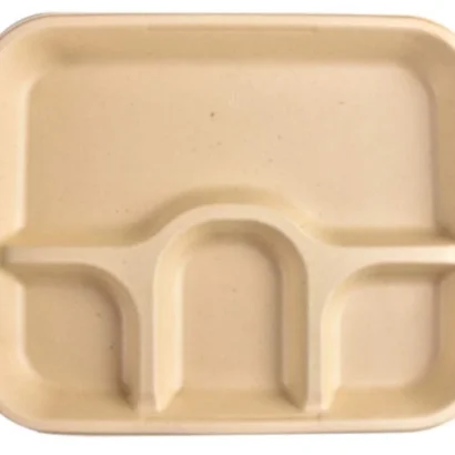 Eco-Friendly 4-Compartment Biodegradable Meal Tray